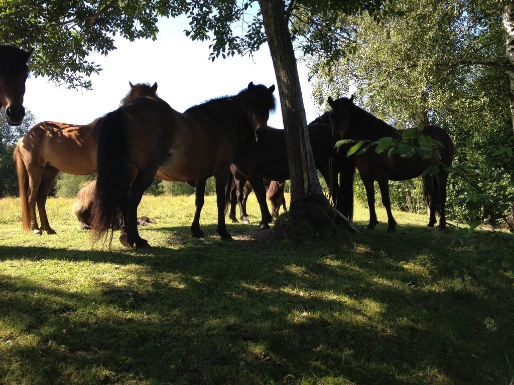 הוסטל קריסטינהאמן Karaby Gard, Country Living מראה חיצוני תמונה